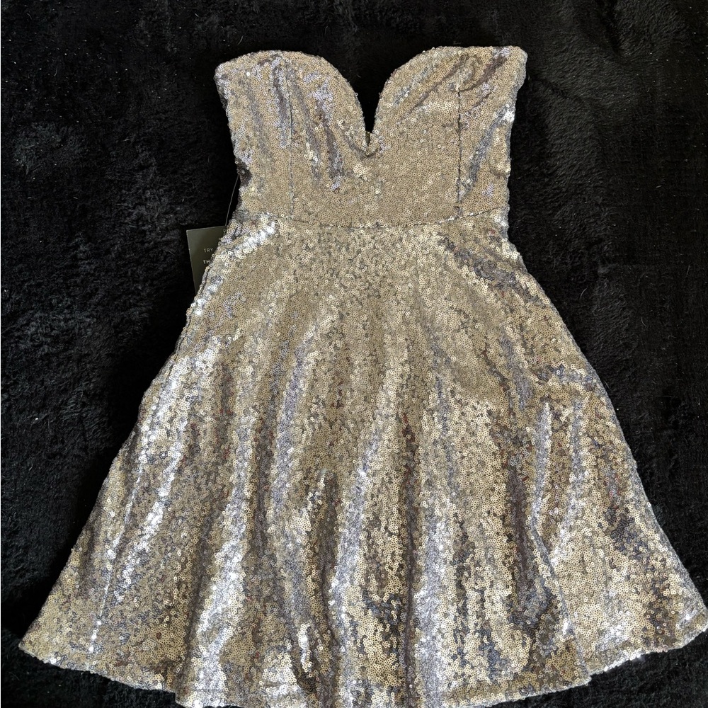 Silver Sequin Strapless Dress